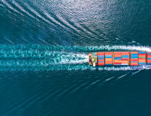 2024 ZEMBA RFI INSIGHTS: PATH TO ZERO EMISSION OCEAN SHIPPING