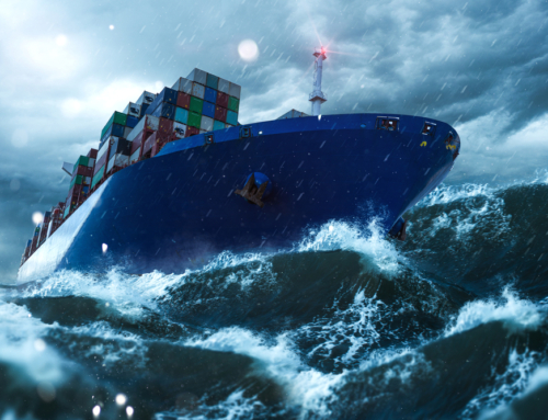 UK & EUROPEAN PORTS FACE DISRUPTIONS: CARRIERS ON WINTER STORM ALERT